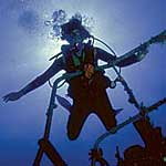 Wreck Diving