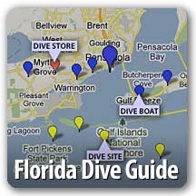 Dive Guide